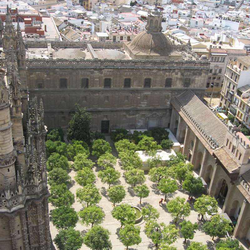Patio Naranjos Catedral De Sevilla